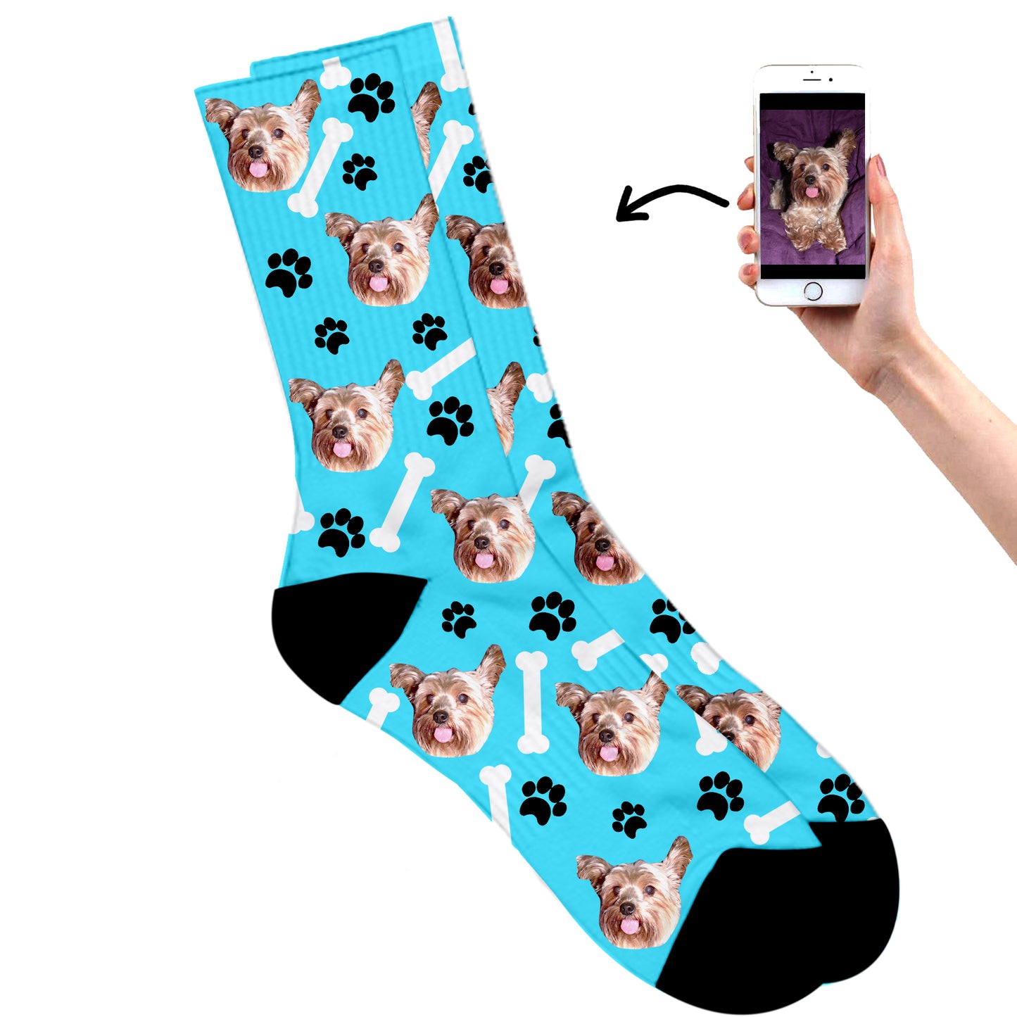 
                  
                    Dog On Socks
                  
                