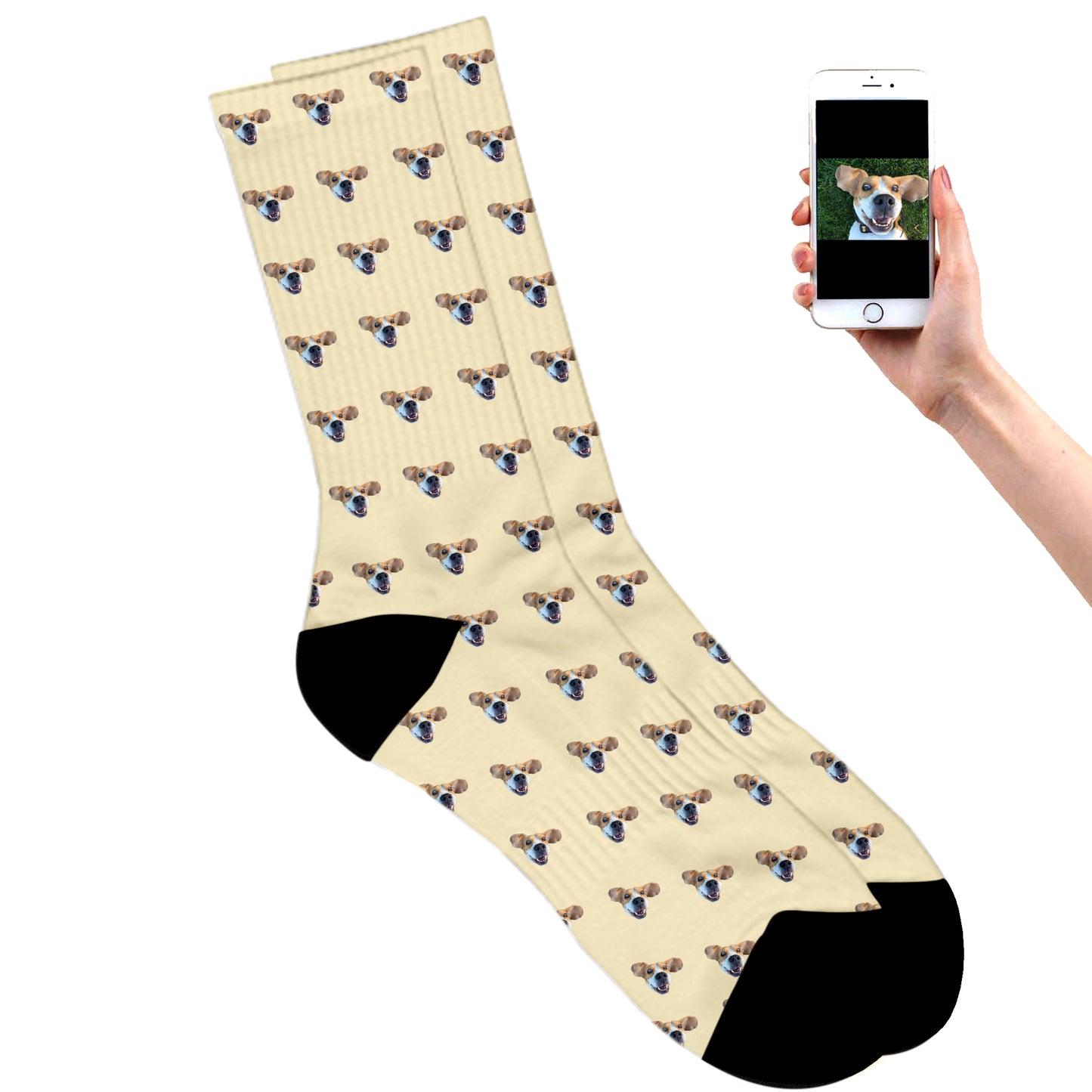 
                  
                    Custom Dog Socks
                  
                