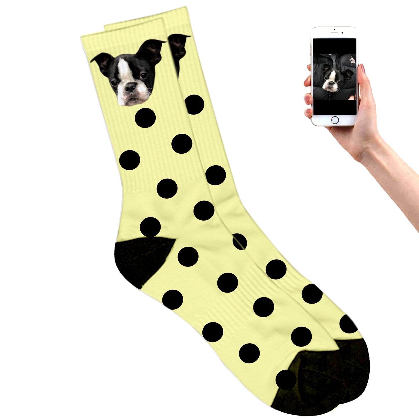 
                  
                    Dotted Dog Socks
                  
                