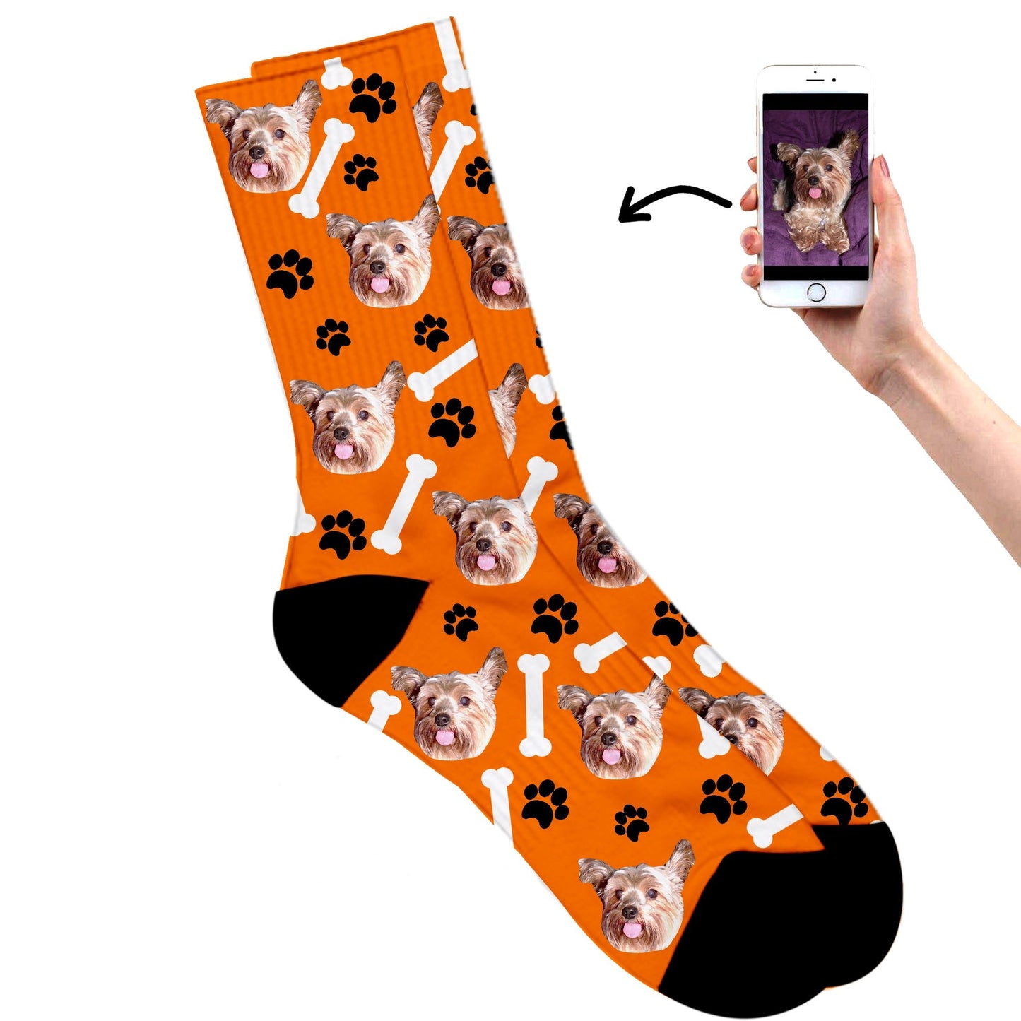 
                  
                    Dog On Socks
                  
                
