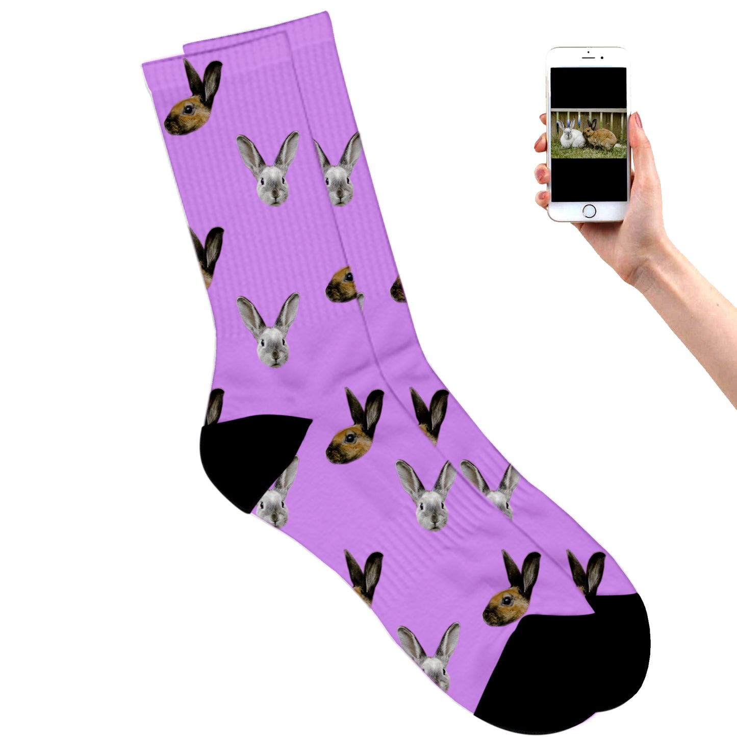 
                  
                    Rabbit Socks
                  
                