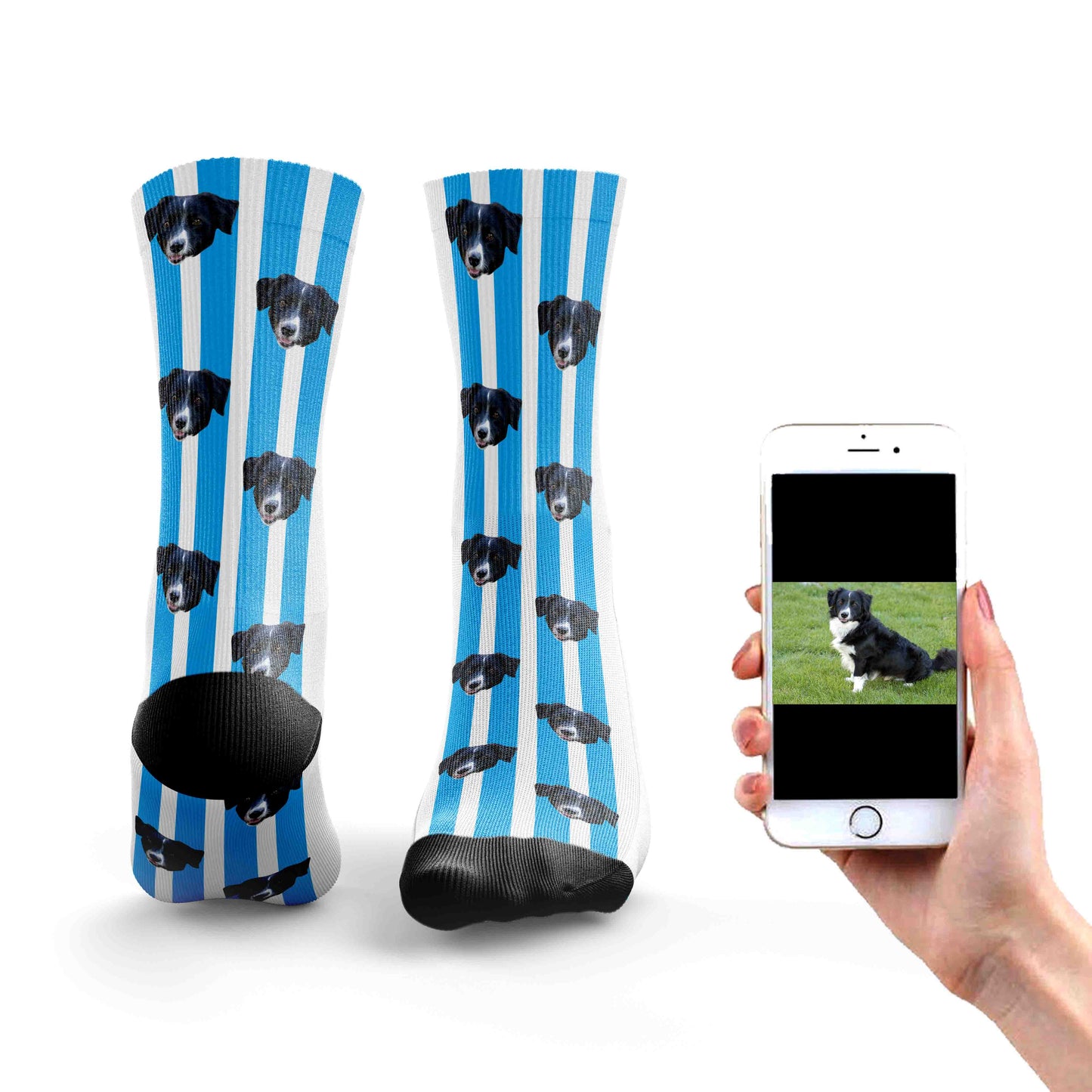
                  
                    Stripy Dog Socks
                  
                