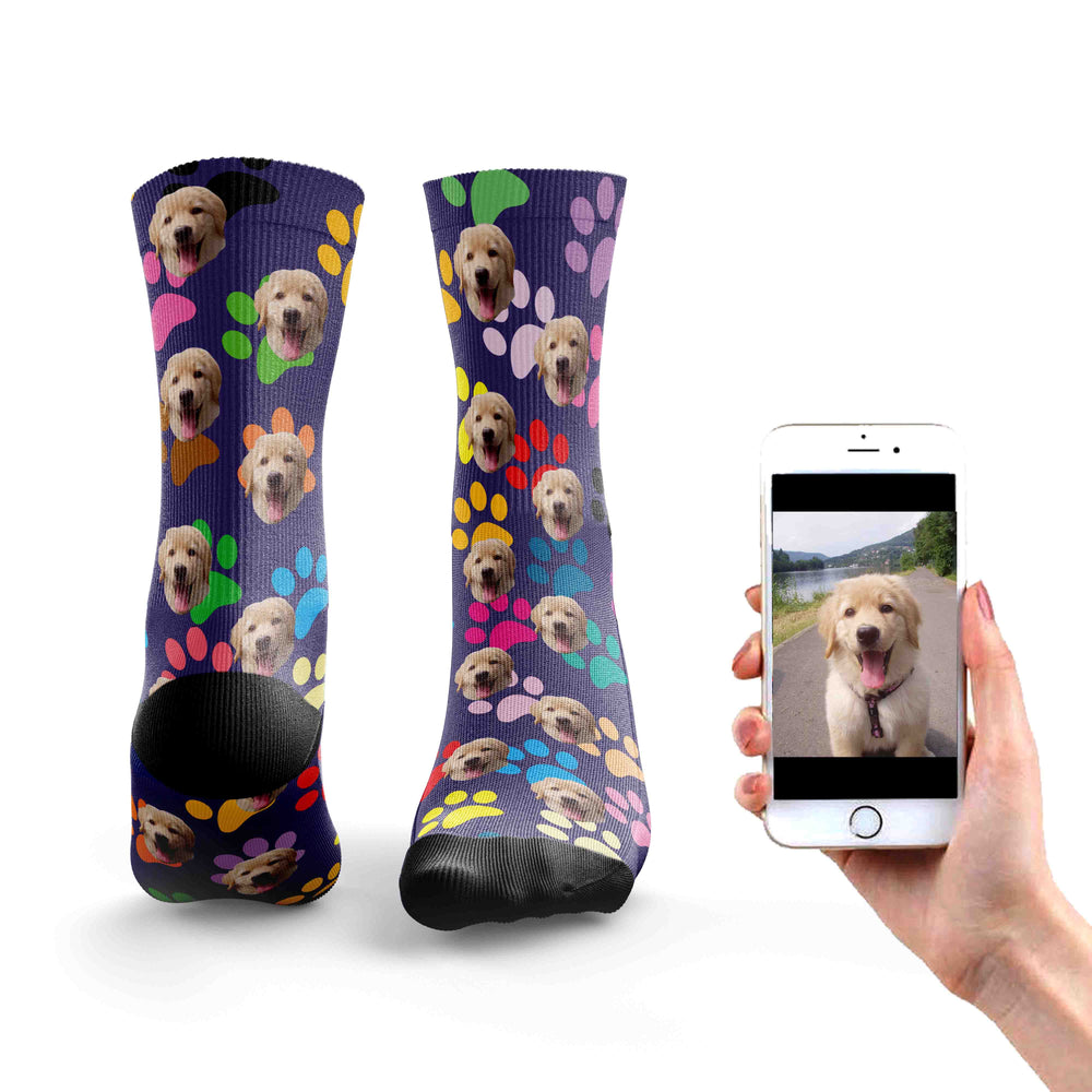 
                  
                    Rainbow Dog Socks
                  
                