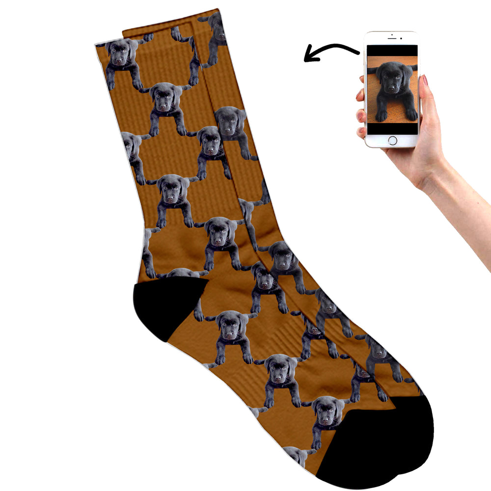 
                  
                    Your Dog On Socks
                  
                
