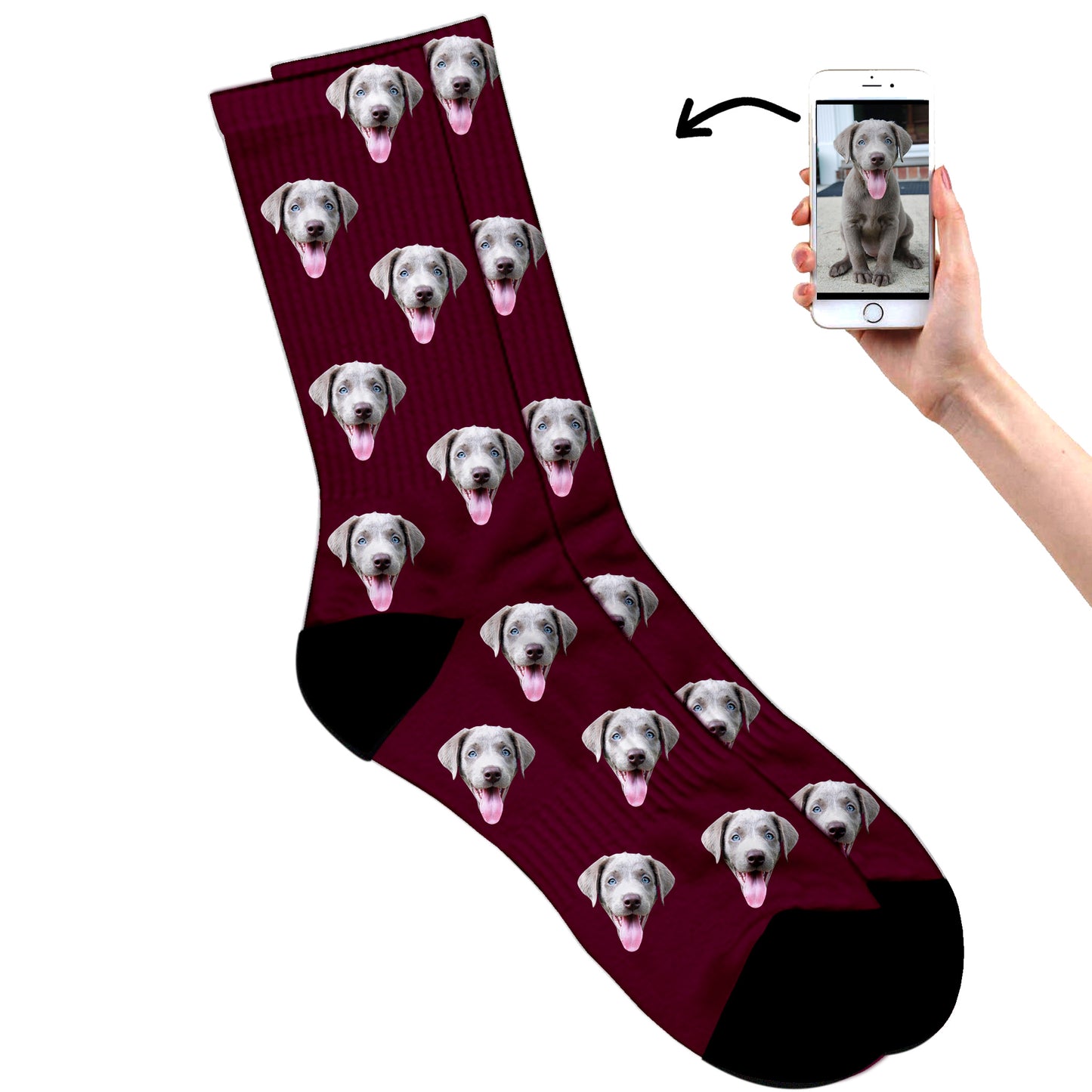 
                  
                    Dog Socks
                  
                