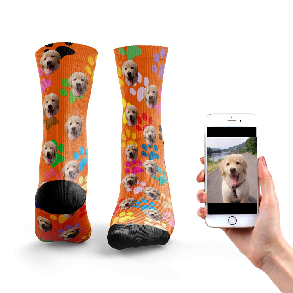
                  
                    Rainbow Dog Socks
                  
                