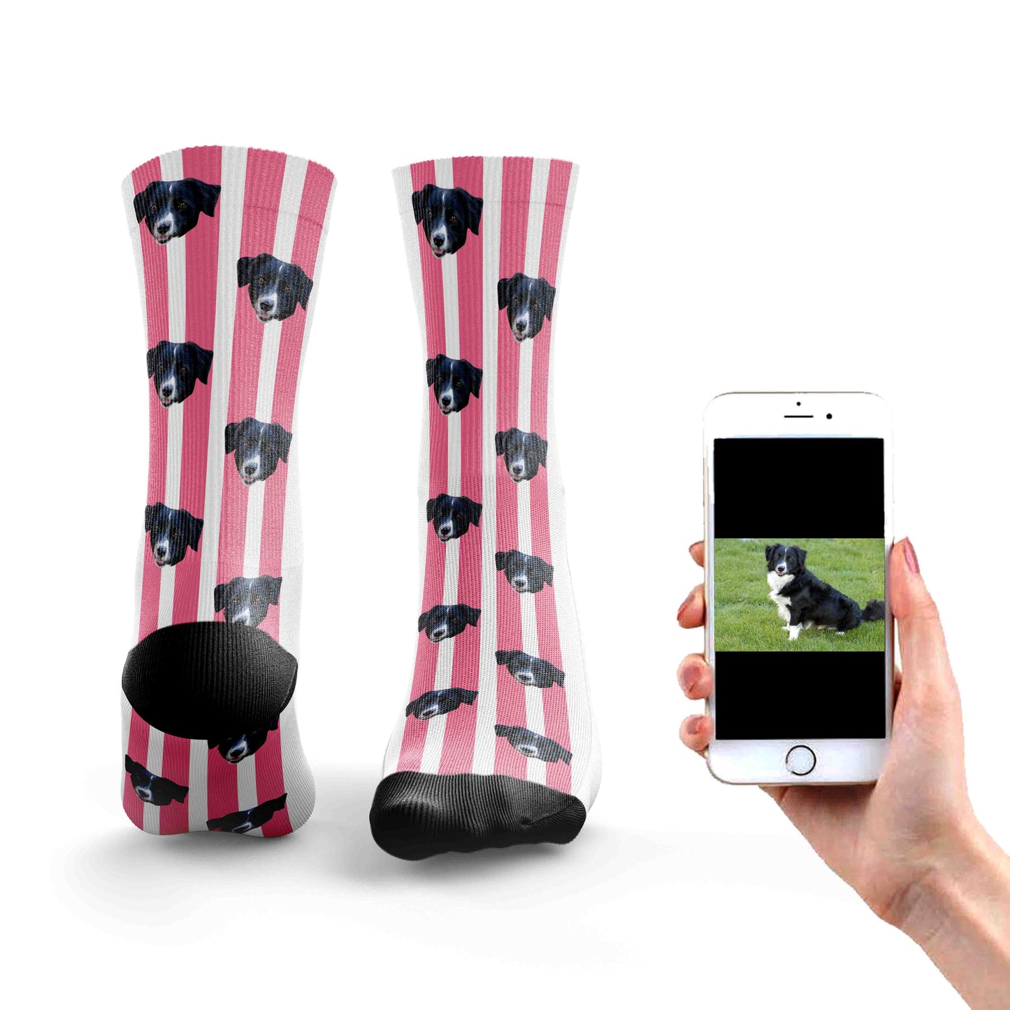 
                  
                    Stripy Dog Socks
                  
                