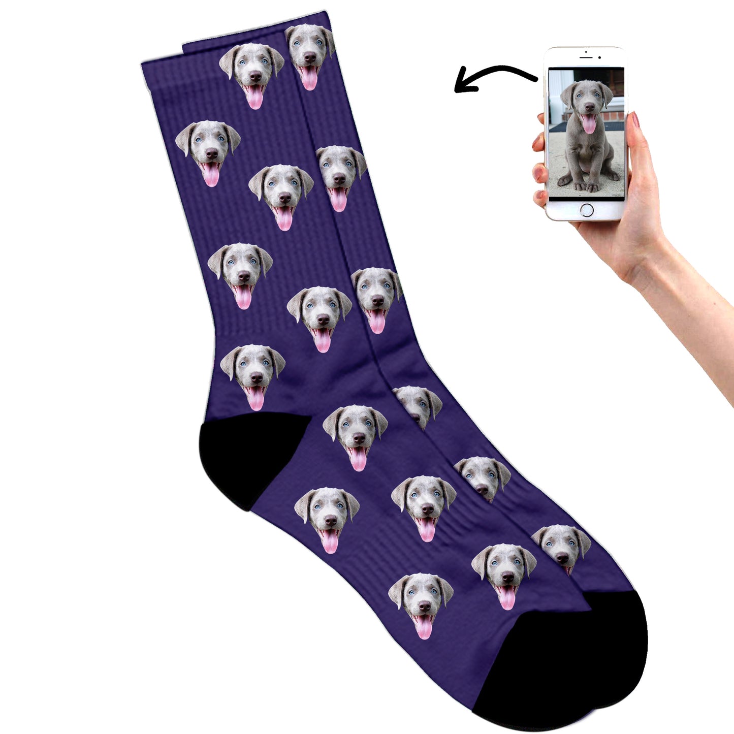 
                  
                    Dog Socks
                  
                