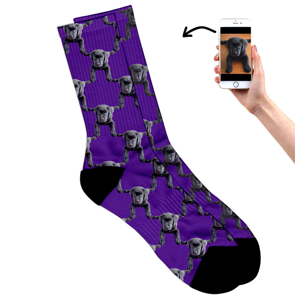 Your Dog On Socks